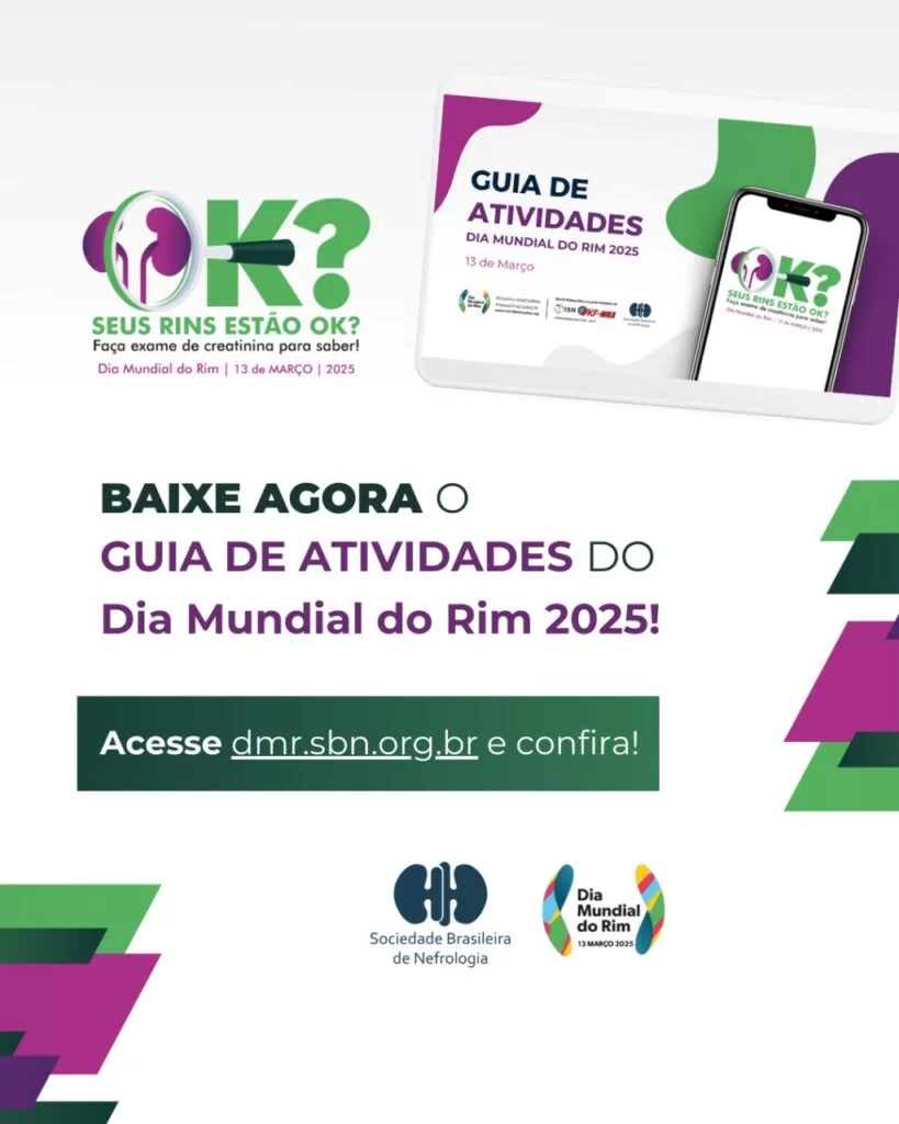 Guia de Atividades DMR 2025