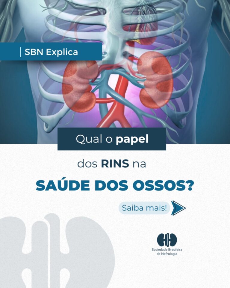 SBN Explica: Qual o papel dos rins na saúde dos ossos?
