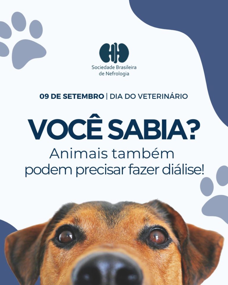 No Dia do Veterinário, SBN homenageia profissionais que salvam vidas e realizam cuidados renais, incluindo diálise em cães e gatos