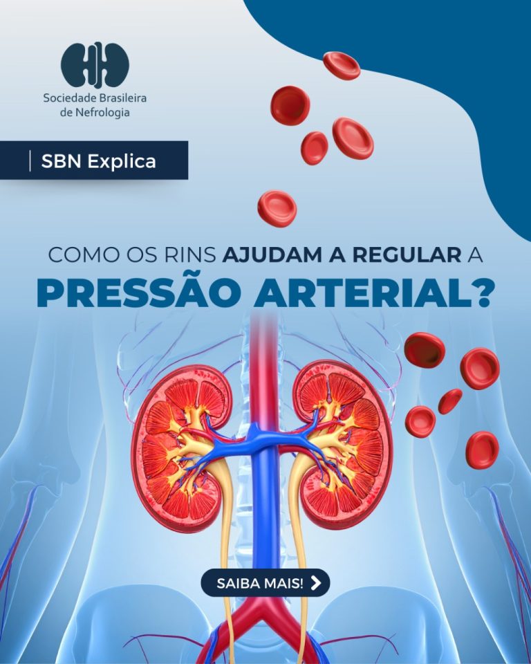 SBN Explica: Como os rins ajudam a regular a pressão arterial?