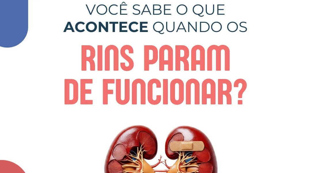 Todo Dia é Dia de Rim Você sabe o que acontece quando os rins param de funcionar