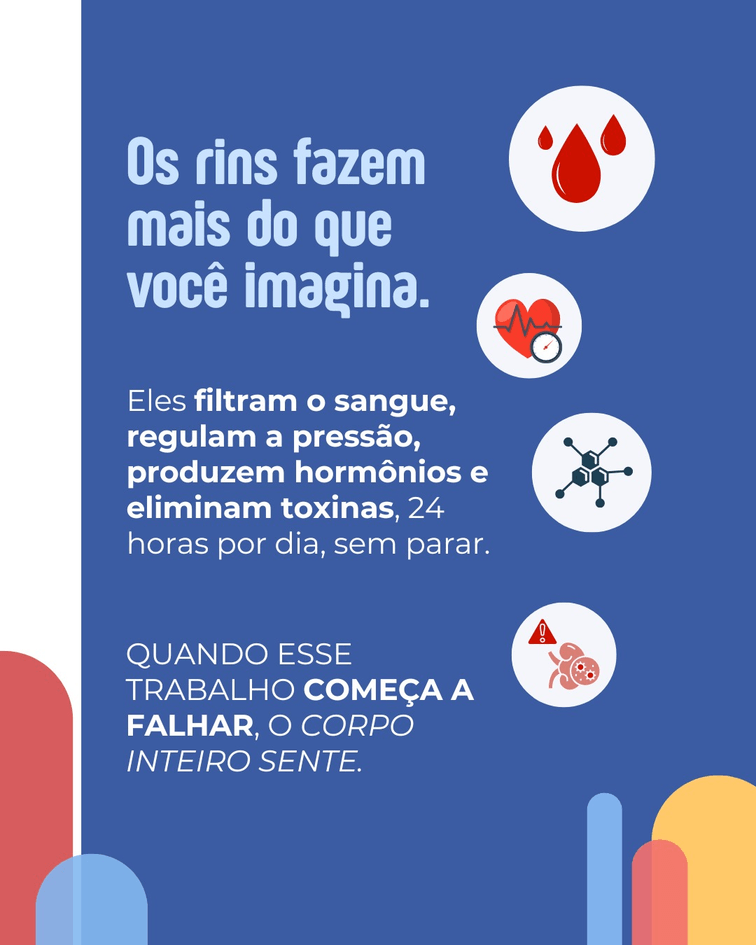 Todo Dia é Dia de Rim Você sabe o que acontece quando os rins param de funcionar