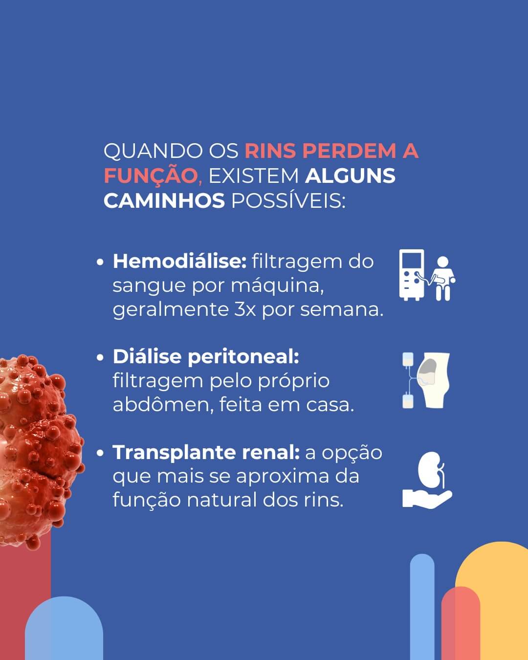 Todo Dia é Dia de Rim Você sabe o que acontece quando os rins param de funcionar