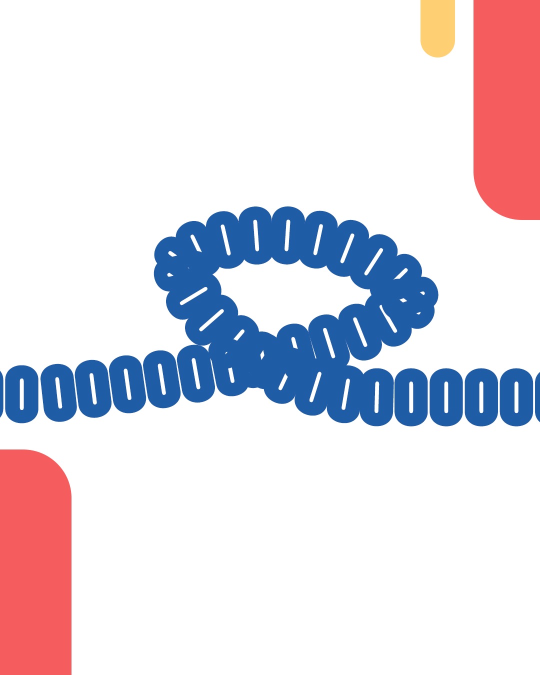 Seus rins trabalham todos os dias por você. E o cuidado com eles também deve ser diário