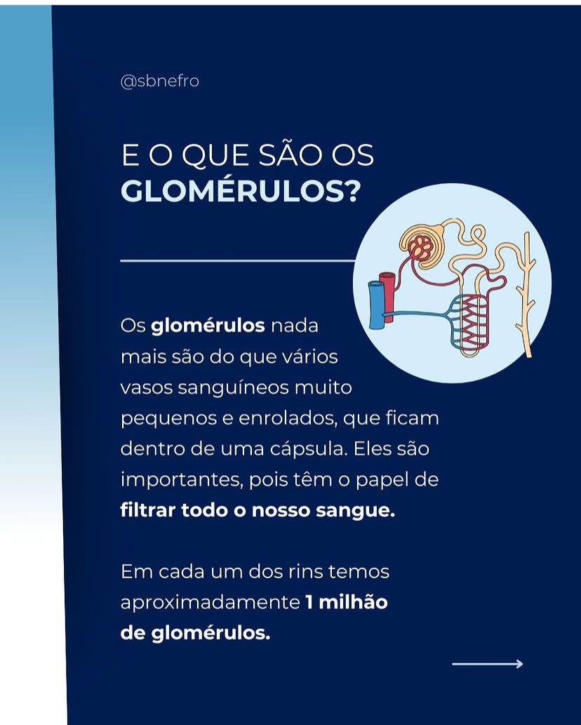 Você já ouviu falar em doenças glomerulares