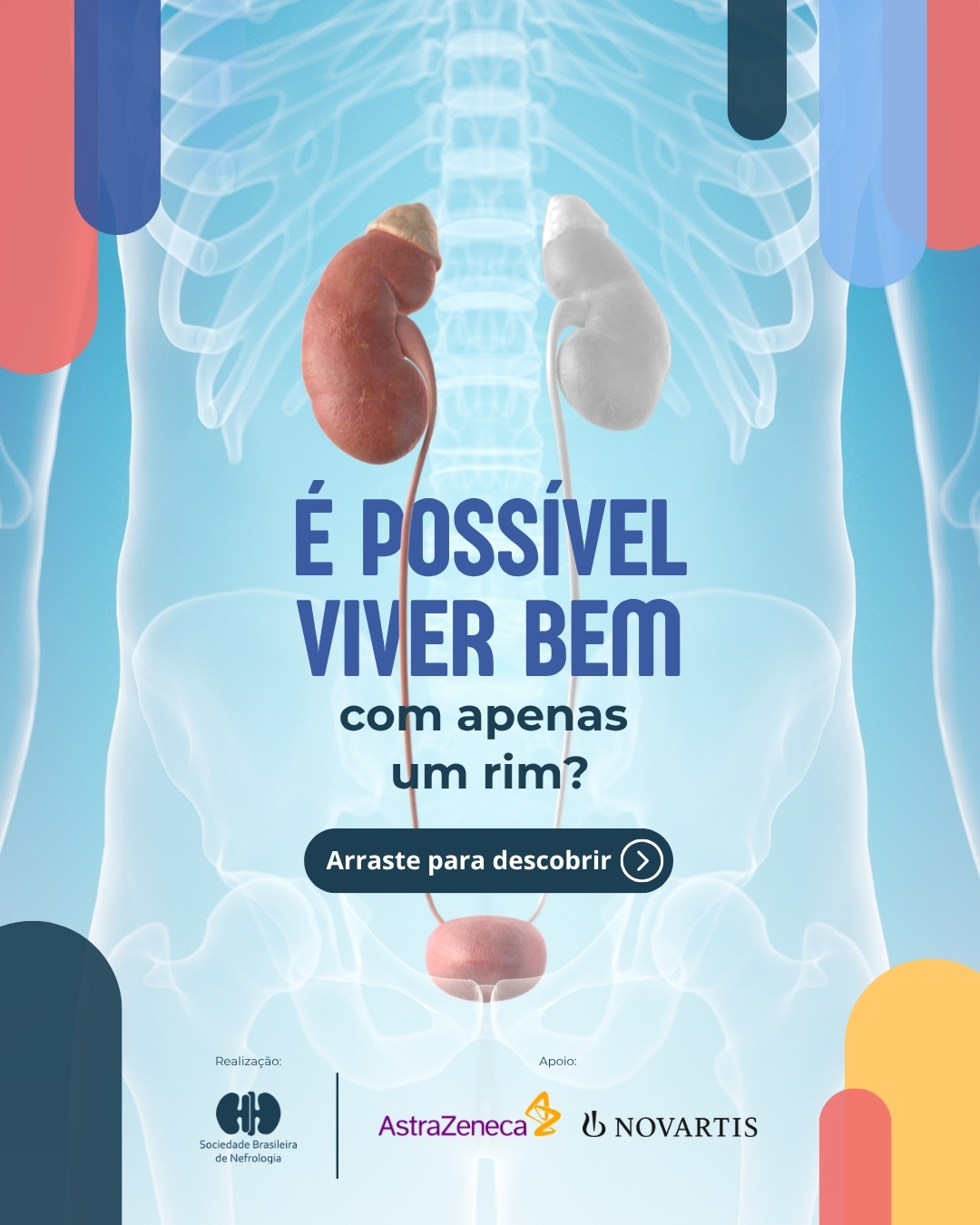 Viver com um rim só é possível, mas exige acompanhamento ao longo da vida