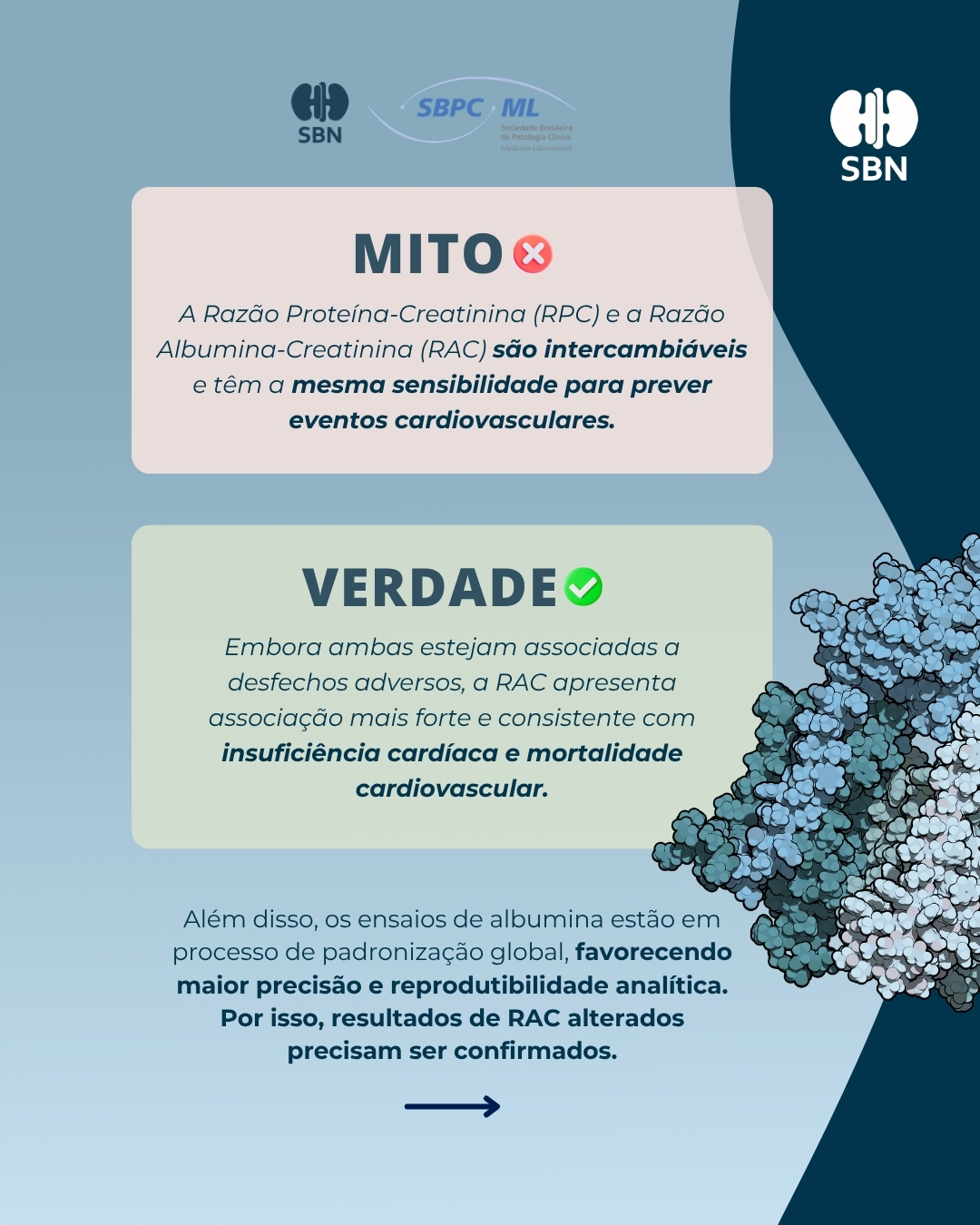 SBN e SBPC-ML destacam importância da avaliação conjunta da TFGe e da razão albumina-creatinina