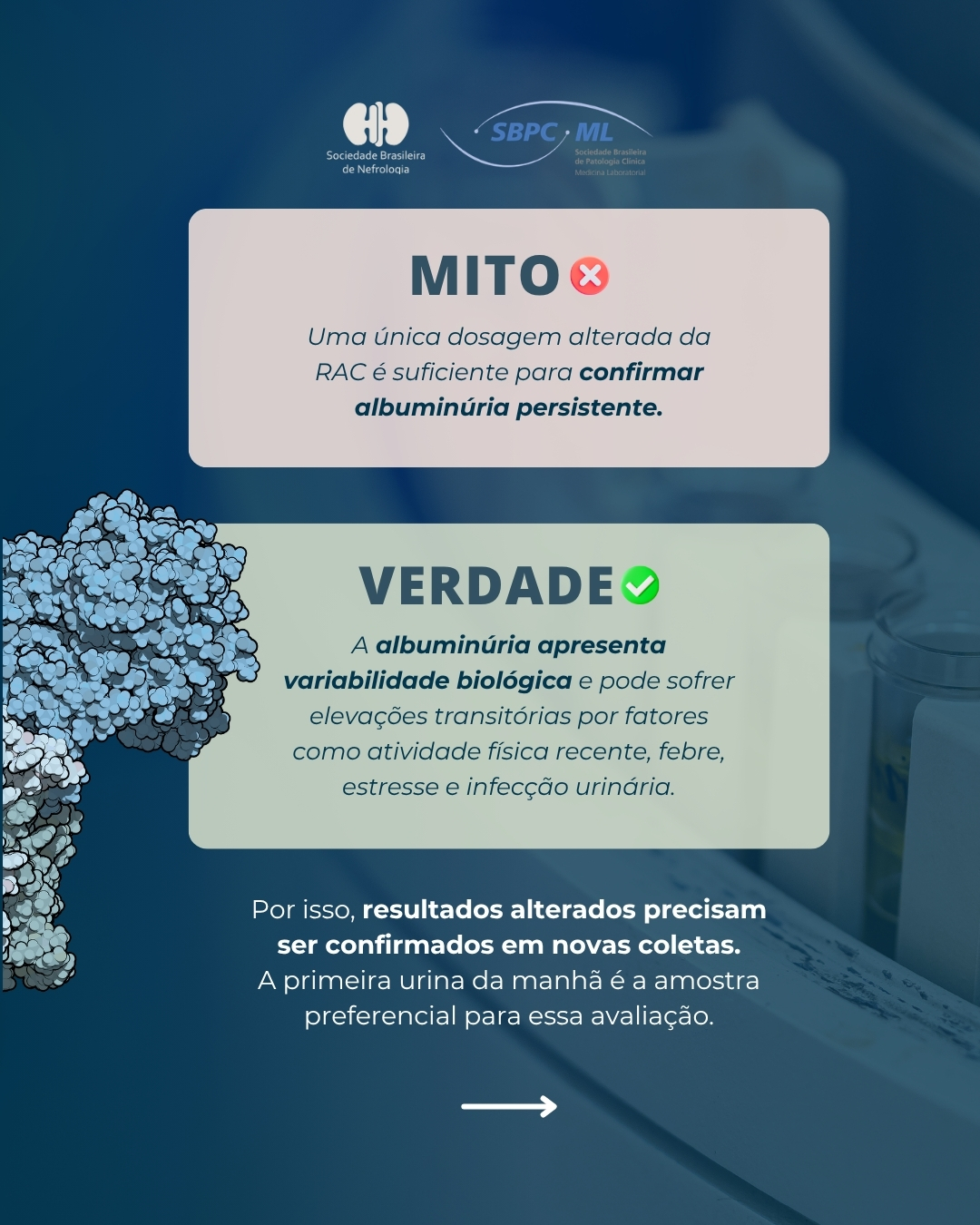 SBN e SBPC-ML destacam importância da avaliação conjunta da TFGe e da razão albumina-creatinina