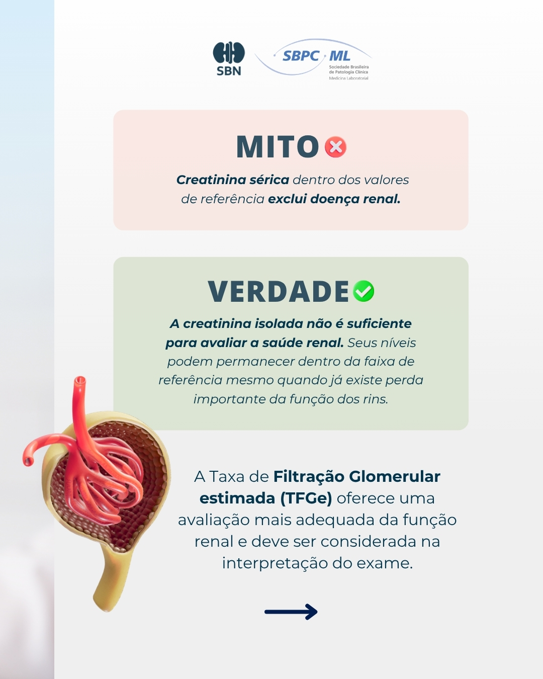 SBN e SBPC-ML esclarecem mitos e verdades sobre creatinina e avaliação da função renal