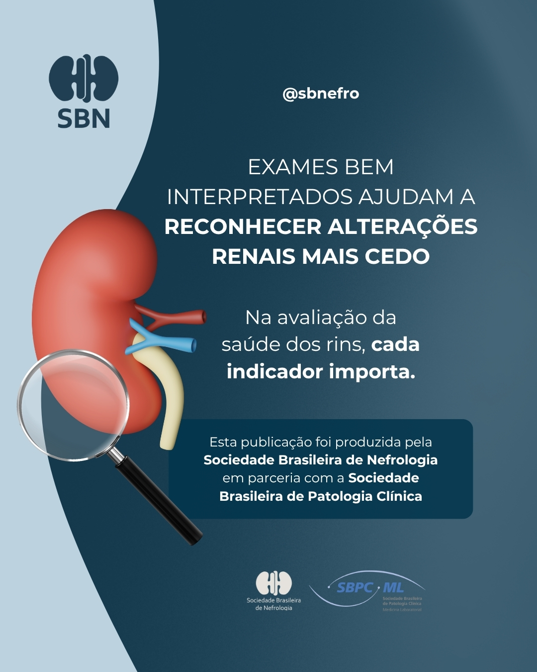 SBN e SBPC-ML esclarecem mitos e verdades sobre creatinina e avaliação da função renal